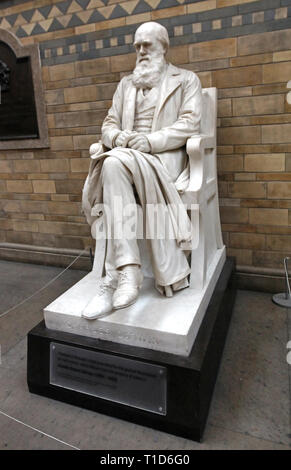 London, Regno Unito - 18 Novembre 2013: Charles Darwin statua all'interno del Museo di Storia Naturale interno in Londra. Foto Stock