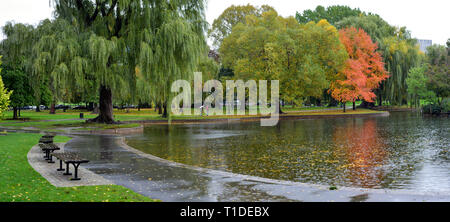 In autunno la pioggia in Boston Public Garden. Percorso del parco, stagno e bellissimi giardini Foto Stock