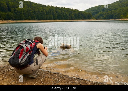 Escursionista femmina fotografare Irabia palude, circondato da faggio (Fagus sylvatica) e abete bianco (Abies alba) misti (foresta di Irati, Navarra, Spagna) Foto Stock