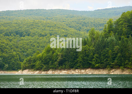 Palude di Irabia shore, circondato da faggio (Fagus sylvatica) e unione di abete bianco (Abies alba) bosco misto (foresta di Irati, Navarra, Spagna) Foto Stock