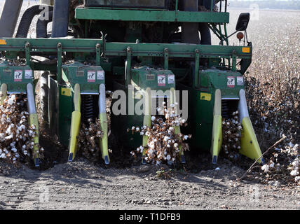 Raccolta di cotone con una raccoglitrice di cotone, raccolti in cotone e con un cotton gin Foto Stock