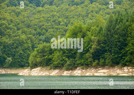 Palude di Irabia shore, circondato da faggio (Fagus sylvatica) e unione di abete bianco (Abies alba) bosco misto (foresta di Irati, Navarra, Spagna) Foto Stock