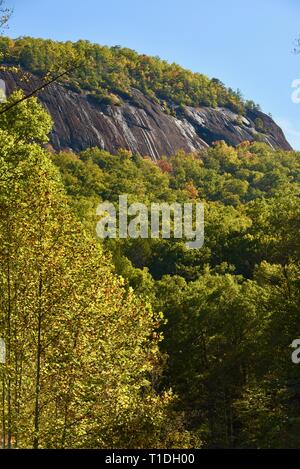 Percorsi escursionistici affioramenti rocciosi e foreste e boschi di Giovanni Rock in autunno, Pisgah National Forest, North Carolina, STATI UNITI D'AMERICA Foto Stock