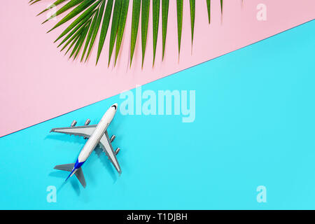 Piano modello di aeroplano o piano e verde tropicale foglie di palmo in rosa e blu. Foto Stock