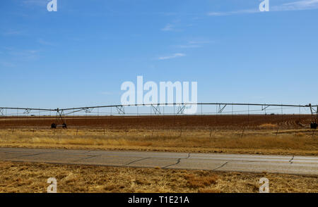 Un perno di irrigazione irrigazione un sistema di campo in funzione di irrigazione di piante agricole Foto Stock