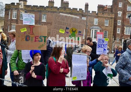 Scene da anti brexit pro popoli votazione marzo a Londra il 23 marzo 2019 cartelloni fatti in casa Foto Stock