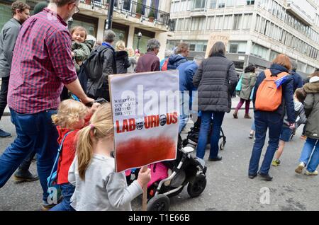 Scene da anti brexit pro popoli votazione marzo a Londra il 23 marzo 2019 laborioso Foto Stock