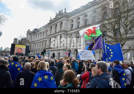 Scene da anti brexit pro popoli votazione marzo a Londra il 23 marzo 2019 Foto Stock