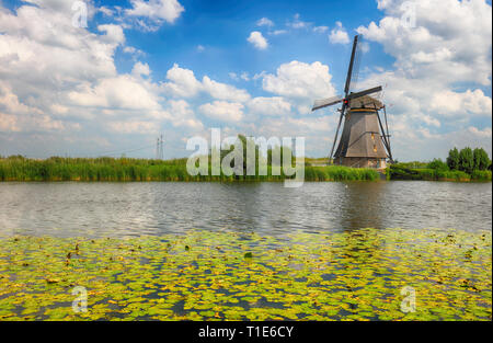 Splendido mulino a vento olandese paesaggio a Kinderdijk nei Paesi Bassi Foto Stock