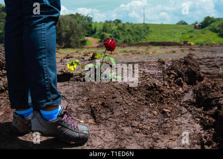 Brumadinho, Brasile. Xviii Mar, 2019. Una persona è in piedi di fiori che sono state gettate a terra. Il 25 gennaio 2019 la diga del Córrego do Feijão miniera di ferro si è rotto e una frana di fango mortale avviato. Due mesi più tardi, ira, dolore e disperazione regola. (A dpa " Tutto è andato' - gli abitanti di Brumadinho soffrono di tragedia perineale') Credito: Rodney Costa/dpa/Alamy Live News Foto Stock