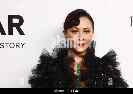 Hong Kong Cina. 25 Mar, 2019. Rosamund Kwan, Carina Lau, Michelle Yeoh, laici Zhang, Choi Jin Hyuk ecc. hanno partecipato a una serata di beneficenza, parte di Hong Kong, Cina su 25 Marzo, 2019.(foto di TPG) Credito: TopPhoto/Alamy Live News Foto Stock