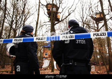 26 marzo 2019, della Renania settentrionale-Vestfalia, Düsseldorf: poliziotti sono in piedi nella parte anteriore del case ad albero nella foresta di Hambach. La polizia vuole recuperare un sospetto di mortaio fecali da un albero di casa nella foresta di Hambach. La zona dove molti tree case si trovano è stato isolato, un portavoce della polizia ha detto martedì. La persona è sospettata di aver commesso un reato. Foto: David Giovani/dpa Foto Stock