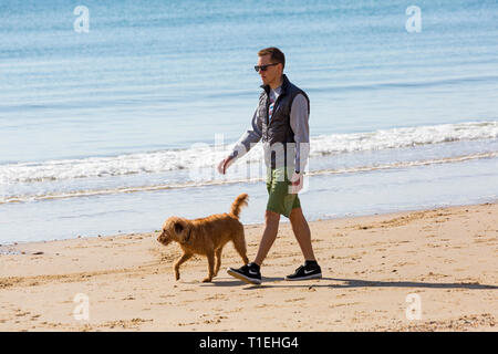 Bournemouth Dorset, Regno Unito. 26 Mar, 2019. Regno Unito meteo: un altro bel giorno caldo e soleggiato con un cielo azzurro e il sole caldo a Bournemouth spiagge, come i visitatori in testa al mare per rendere la maggior parte del tempo splendido. Uomo cane a camminare lungo la riva del mare. Credito: Carolyn Jenkins/Alamy Live News Foto Stock