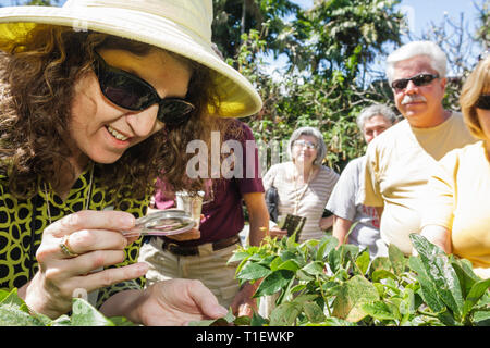 Miami Beach Florida,Giardino Botanico,giardinaggio,giardiniere,hobby,piante,alberi,fogliame,orticoltura,visita guidata,donna donne,uomo uomini maschio,Senior sen Foto Stock