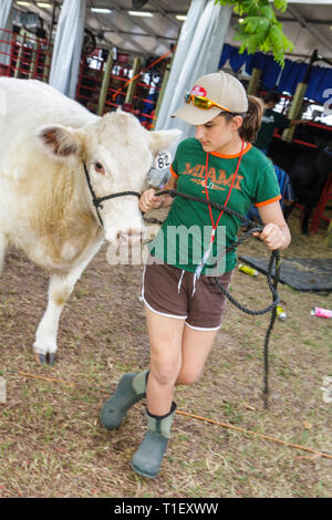 Miami Florida, Kendall, Tropical Park, Miami International Agriculture & Cattle Show, allevamento, commercio di bestiame, Agri business, ragazze, giovani, femmina k Foto Stock