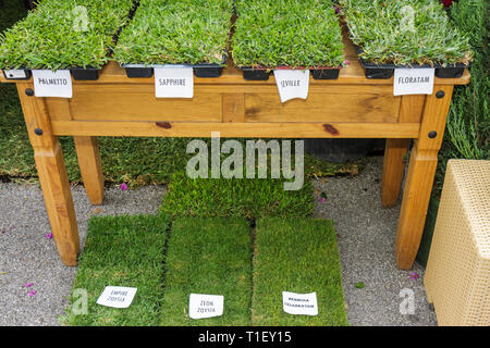 Miami Florida,Kendall,Tropical Park,Miami International Agriculture and Cattle Showtrade,Agri business,Homestead Plant Exhibition,erba,prato,s Foto Stock