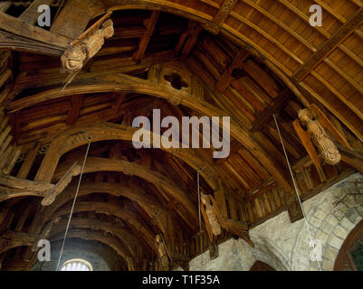 Visualizzare NW di perpendicolare (C15th) tetto in legno sopra il S navata della chiesa di Santa Maria, Cilcain, Flintshire, Wales, Regno Unito. A arcuata delle bretelle, fasci di martello & angeli Foto Stock
