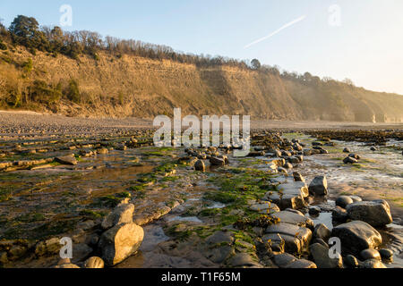 Il vuoto di spiaggia rocciosa e le scogliere a Knap, Barry, South Wales, bagnata in una luminosa mattina presto sunshine Foto Stock