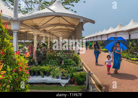 In un giorno caldo in febbraio, persone godere guardando la vasta selezione di piante in vendita su un giardino all'aperto mercato in Colombo, Sri Lanka. Foto Stock
