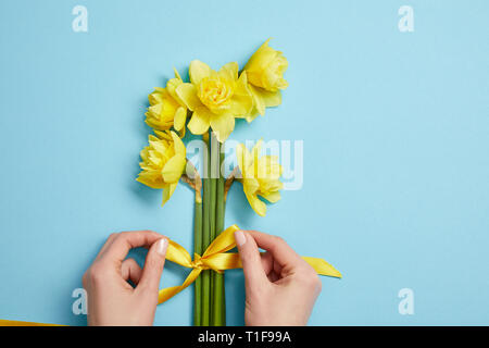Vista ritagliata della donna bouquet di legatura di giallo fiori di narciso con nastro giallo su blu Foto Stock