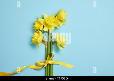 Vista superiore del bouquet di daffodils giallo con nastro giallo su blu Foto Stock