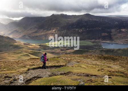 Walker discendente dalla Whiteless Pike verso i laghi di Buttermere e Crummock acqua, Lake District Cumbria, Regno Unito Foto Stock