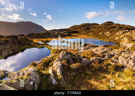 Verso il Vertice di Haystacks, Innominate Tarn è bagnata autunnale di luce dorata che riflette le nuvole nel dire & circondato balze rocciose Foto Stock