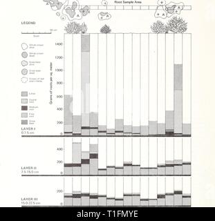 Distribuzione di materia organica nella distribuzione della materia organica in un deserto arbusto distributionofor comunitario130holm Anno: 1972 figura 1.-mappa di una parte di un tracciato (in alto) che mostra un arbusto e corone di erbaccia e basi bunahgrass. Il grafico a barre (di seguito) mostra il peso del materiale della metropolitana in tre 7. 5-cm. di profondità incrementi di zona del campione indicato sopra direttamente sulla mappa. Un, Atriplex confertifolia; E, Eurotia lanata; +, corona radice o il punto di attacco di arbusti e di erbe di latifoglie. No taproots furono intercettati in questo segmento della sotto- massa campione. Foto Stock