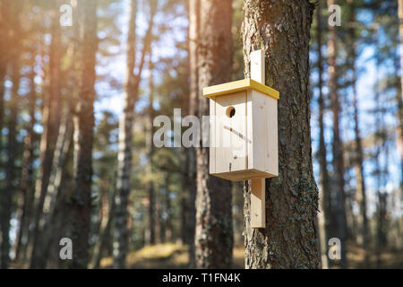 Legno bird house su pine tronco di albero Foto Stock