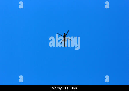 Cielo blu e elicottero militare Foto Stock