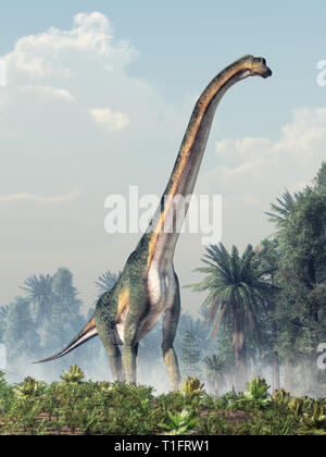 Un sauropod giganti, il più grande dei dinosauri e il più grande tipo di animale di terra mai, passeggiate attraverso una pianura preistorica tra grumi di alberi. Foto Stock