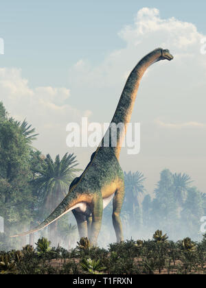 Un sauropod giganti, il più grande dei dinosauri e il più grande tipo di animale di terra mai, passeggiate attraverso una pianura preistorica tra grumi di alberi. Foto Stock