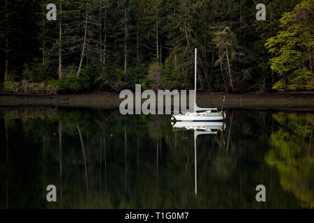 WA05448-00...WASHINGTON - Barca a vela in Westcott Bay su San Juan Island. Foto Stock