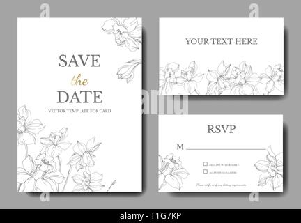 Vettore di Narciso botanico floreale fiore. Wild molla a balestra isolato. Bianco e nero inchiostro inciso art. Nozze scheda sfondo decorativo floreale borde Illustrazione Vettoriale