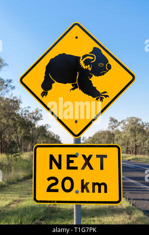 Attenzione di Koala attraversando cartello stradale nel Queensland, Australia Foto Stock