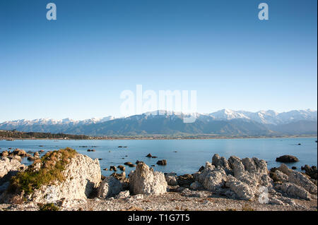 Kaikoura paesaggio, Canterbury, Nuova Zelanda: bellissime coste rocciose, colore di primo piano e vista su tutta colonia di foche a montagne in lontananza. Foto Stock