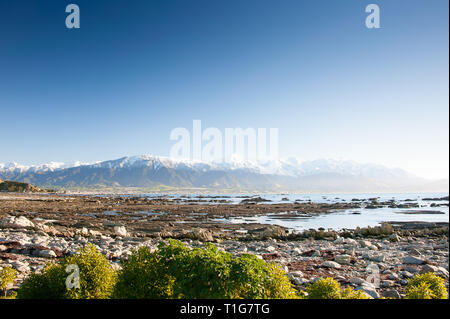 Kaikoura paesaggio, Canterbury, Nuova Zelanda: bellissime coste rocciose, colore di primo piano e vista su tutta colonia di foche a montagne in lontananza. Foto Stock