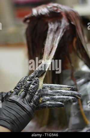 Parrucchiere applicare colore cliente femmina a salon, facendo la tintura per capelli Foto Stock