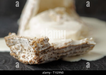 Formaggio di capra con lo stampo ed il liquido interno, schiacciati Foto Stock