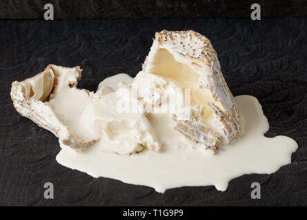 Formaggio di capra con lo stampo e il liquido sostanza lattiginosa all'interno Foto Stock