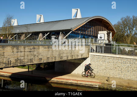 Un ciclista passa il WWF Living Planet Center di Woking town center Surrey UK Foto Stock