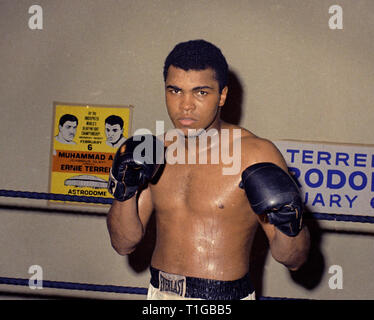 Boxer Cassio Marcello Clay Jr. aka Muhammad Ali, circa 1967 Riferimento File # 1003 827THA Foto Stock