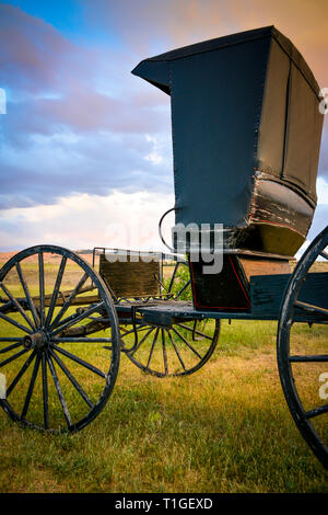 Un misterioso e solitario vista di uno stile antico due seat surrey o buggy, pronto per l'aggancio, seduti nella prateria NEGLI STATI UNITI Foto Stock