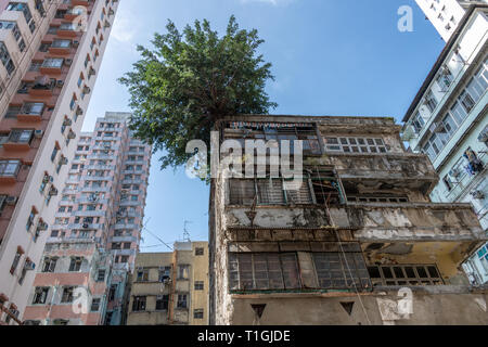 Blocchi di appartamenti, Kowloon, Hong Kong Foto Stock