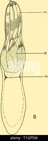 Scoperta dei report (1962) Rapporti ricerche discoveryreports31inst Anno: 1962 Foto Stock