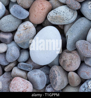 L'uovo, la spiaggia di ciottoli di Baia Spey, murene, sulla costa nord-orientale della Scozia, Regno Unito Foto Stock