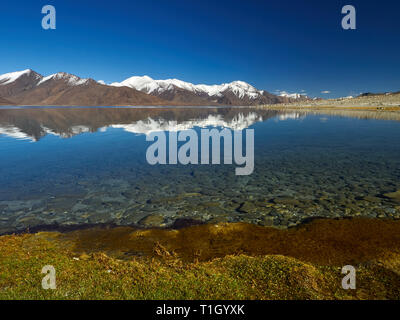 Acqua blu e marrone e le piste con neve sulle cime del Lago Pangong, India. Foto Stock
