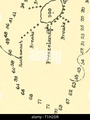 Rapporti di ricerca (1929) Discovery discoveryreports report31932inst Anno: 1929 Foto Stock