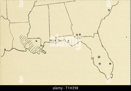 Malattie del cotone, canna da zucchero, malattie del cotone, canna da zucchero, alberi da bosco, piante ornamentali e varie piante negli Stati Uniti nel 1919 diseasesofcotton11mart Anno: 1920 marciume rosso e rosso sono stati segnalati da Georgia, Florida, Alatama, Louisiana e Texas. In Louisiana la malattia si è diffusa. In Alatama era atundant. Pit.. 5*. Mostra la posizione delle aree di marciume rosso nel sud della cinghia di canna. Guaina rot causato da sclerozio rolfsii Sacc, guaina rot era i-eported froia Geort;ia, Florida, Alabama e Louisiana. Come mostrato in pi. 53 io'*'- come molto indietro- alent su un area larie Foto Stock
