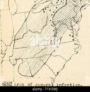 Malattie del cotone, canna da zucchero, malattie del cotone, canna da zucchero, alberi da bosco, piante ornamentali e varie piante negli Stati Uniti nel 1919 diseasesofcotton11mart Anno: 1920 Area di generali] infezione. ?FSpot infezione. Gamma generale di castagno. Foto Stock